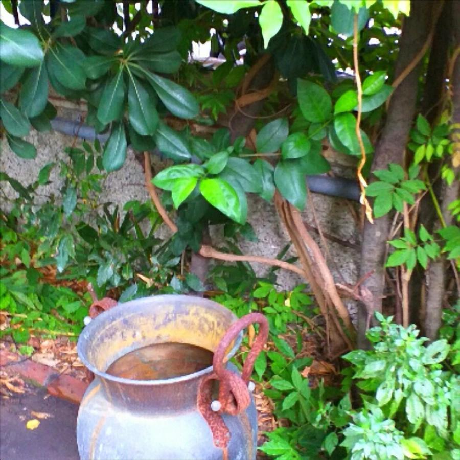 Un Giardino A Due Passi Dal Mare Apartamento La Spezia Exterior foto